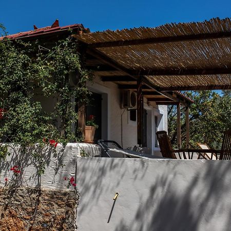Sun&Sea Villas - Sea Vingláfia Exterior foto